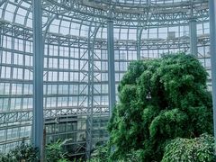 -郑州植物园