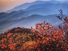 -北京西山国家森林公园