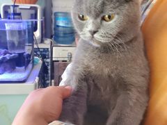 -平行世界·猫咖(首经贸店)