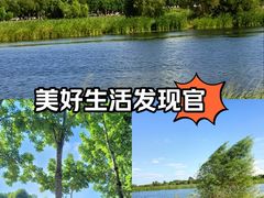 -哈尔滨大剧院