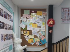 -瑞派·关忠动物医院猫科外科·异宠·24小时转诊中心(祥云店)