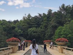 -云溪植物园