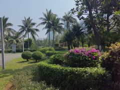 -万绿园