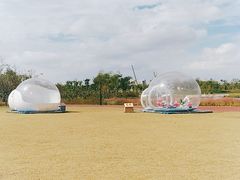 -春花秋色城市公园