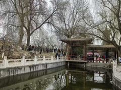 -桃花堤公园