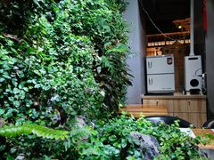 -森味薪火烧•烧鸟居酒屋•日本料理(望京店)