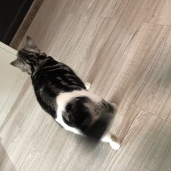 -荔刺青纹身·手穿孔饰品