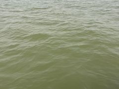 -红星码头