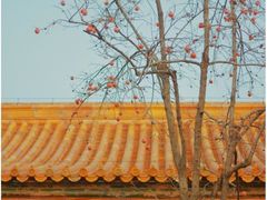 -故宫博物院(故宫)