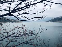 -白帝城·瞿塘峡景区