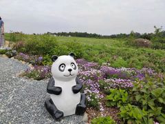 -空港花田景区
