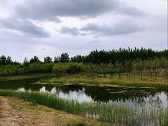 -东郊湿地公园