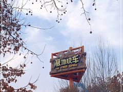 -济南方特东方神画