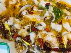 撒椒酸菜鱼-撒椒·四川江湖菜(大族广场店)