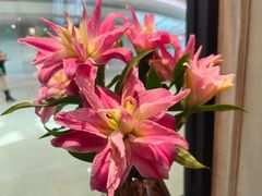 -狮拾久·现代新加坡料理(壹方城店)