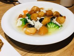 -枣子树·素食餐厅(朱家尖店)