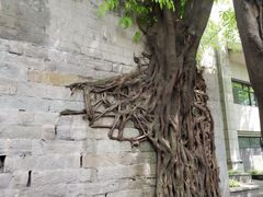-喜洋洋(中山四路店)