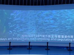 -广东惠东海龟国家级自然保护区
