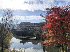-刘伯温故里景区百丈漈