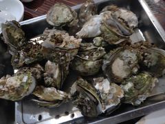 -张家卫·阳江菜·小海鲜(肥婆湾桥店)