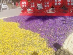 -西安市长乐公园