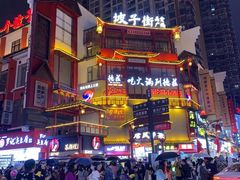 -黑色经典臭豆腐·湖南特产(坡子街店)