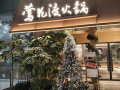 -莺花渡火锅City Green(万象城店)