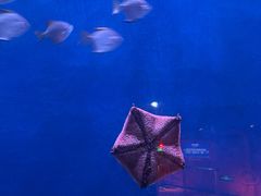 -沈阳海洋探索中心