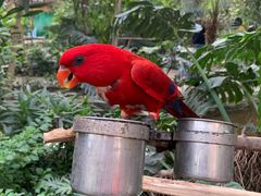 -南宫五洲植物乐园