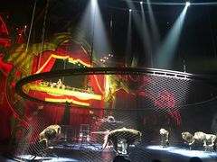 -珠海横琴长隆《卡卡虎奇遇记》