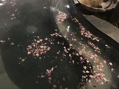 -天明山温泉大酒店