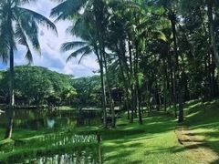 -四季酒店下午茶