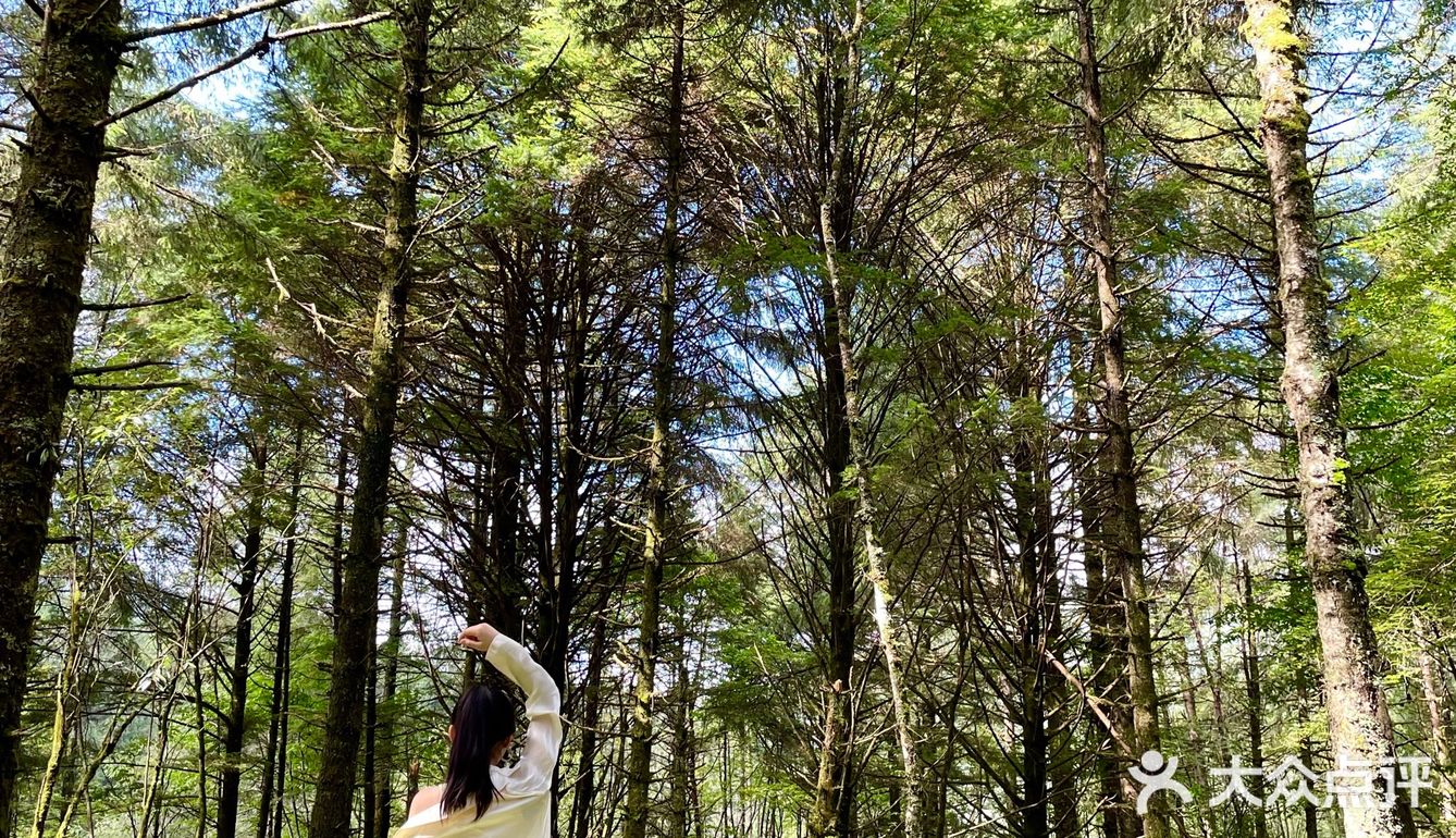 成都周边游｜川内“肯尼亚”风光孟获城