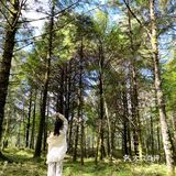 成都周边游｜川内“肯尼亚”风光孟获城