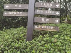 -南山植物园