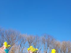 -北京北辰洲际酒店-游泳池