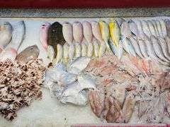 -天天渔港海鲜酒家(石浦玉泉路店)