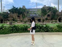 -新加坡飞禽公园