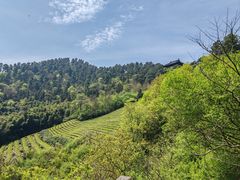 -敬亭山风景名胜区