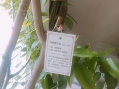 -精德口腔·种植修复·儿牙中心(财富中心店)