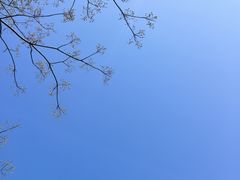 -嵖岈山风景区