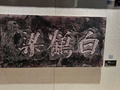 -白鹤梁水下博物馆