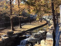 -白水寺森林公园