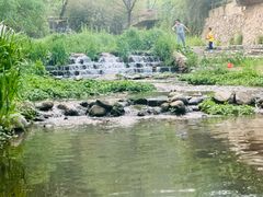 -Local泰莲庭(虹鳟鱼店)