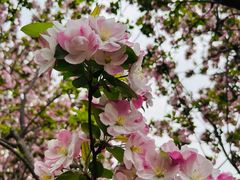 -元大都城垣遗址公园