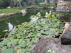 -春风习习