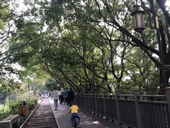 -铁路文化公园