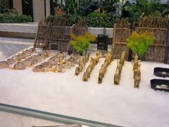 -川骄海鲜自助(河东店)
