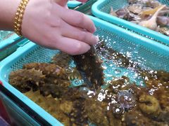 -渔傅·蓝海岸霞浦海鲜(正祥店)