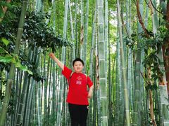 -苏州河梦清园环保主题公园